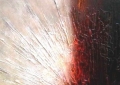 80x80 cm