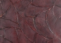 140 x 80