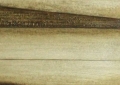 160 x 40
