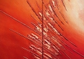2X40X160cm
